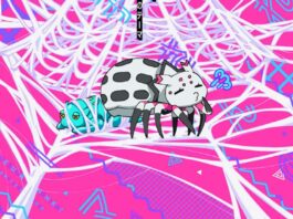 Ganbare-Kumoko-san-no-Theme-Watashi-Aoi-Yuuki-MP3-FLAC-SS1-ED1-Single-So-Im-a-Spider-So-What-Feather-Image