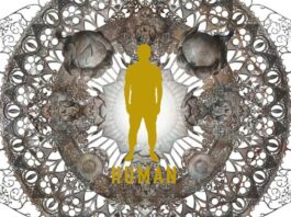 PinocchioP---HUMAN-[FLAC]-Feather-Image