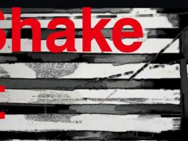 Nakimushi-Shake-It-Now.-(featAdo2