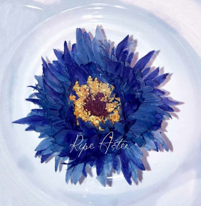 Rettousei-Tsuioku-hen-Ripe-Aster