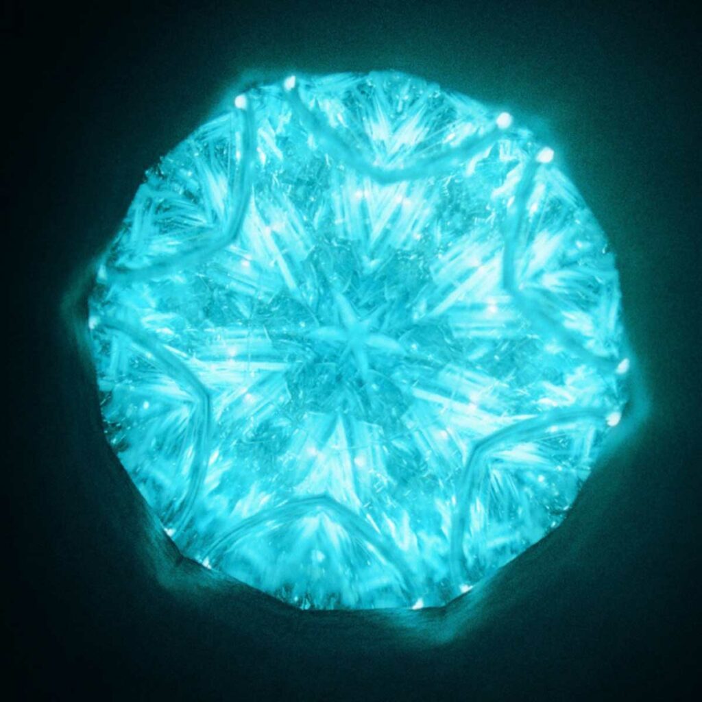 Regal-Lily---C-toshi-Ikeru-Mono