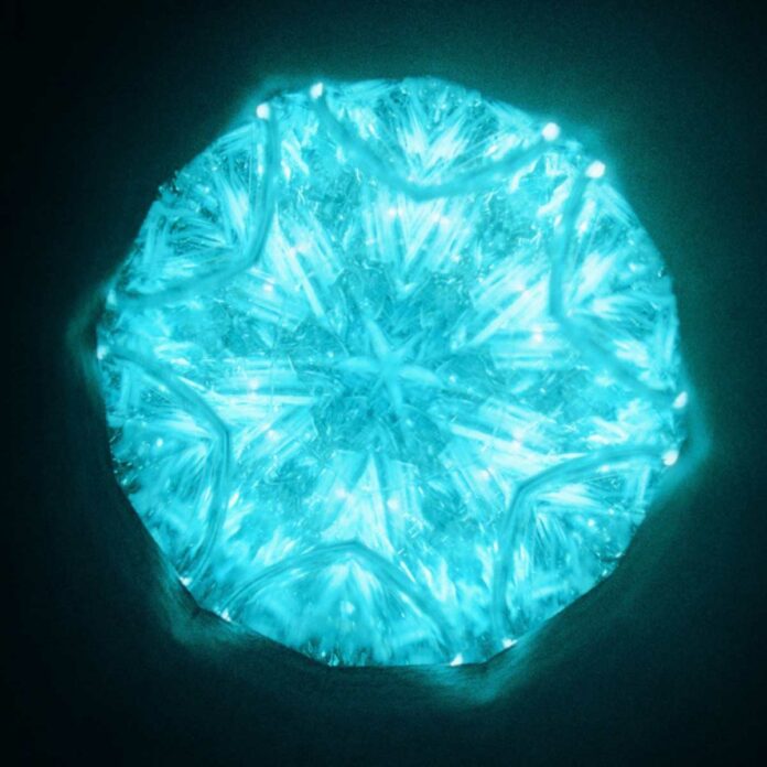 Regal-Lily---C-toshi-Ikeru-Mono