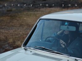 sino-R-fine---Crazy-for-you-Fishbowl-Wives