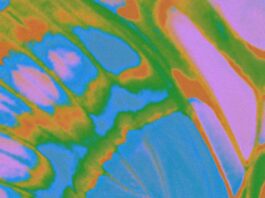 Daoko-&-Yohji-Igarashi-The-Collaboration-EP---MAD