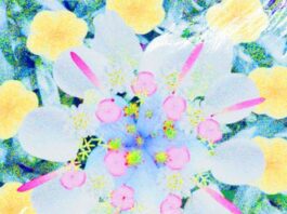 YOASOBI---Sukida-(Single)