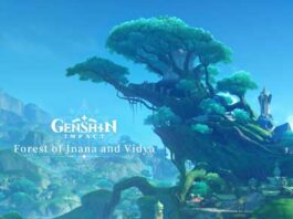 Forest-of-Jnana-and-Vidya