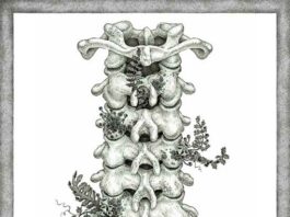 Itterasshai-AOT-Final-Season-ED3