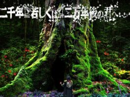 Nisennen...-Moshiku-wa...-AOT-Final-Ch-Eps2-ED
